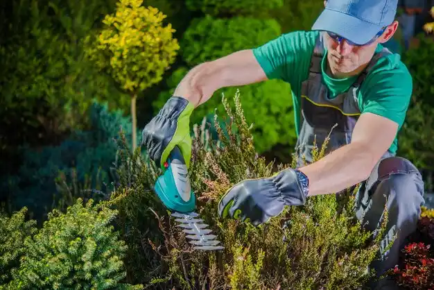 landscaping services Inkster